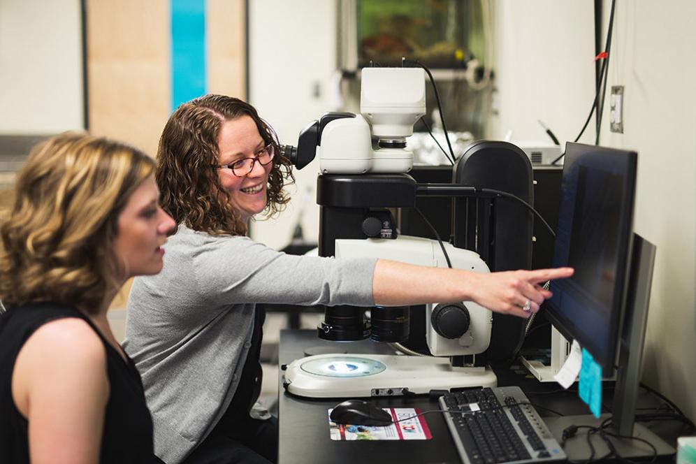 教授. Andrea Henle helps a student with a research project. 因为bv伟德ios下载是一所有sm的大学...